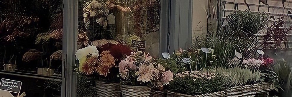 cococruncc's profile banner image