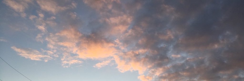 _carolynsmith_'s profile banner image