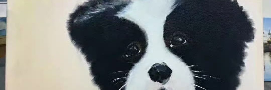 antonycedillo's profile banner image