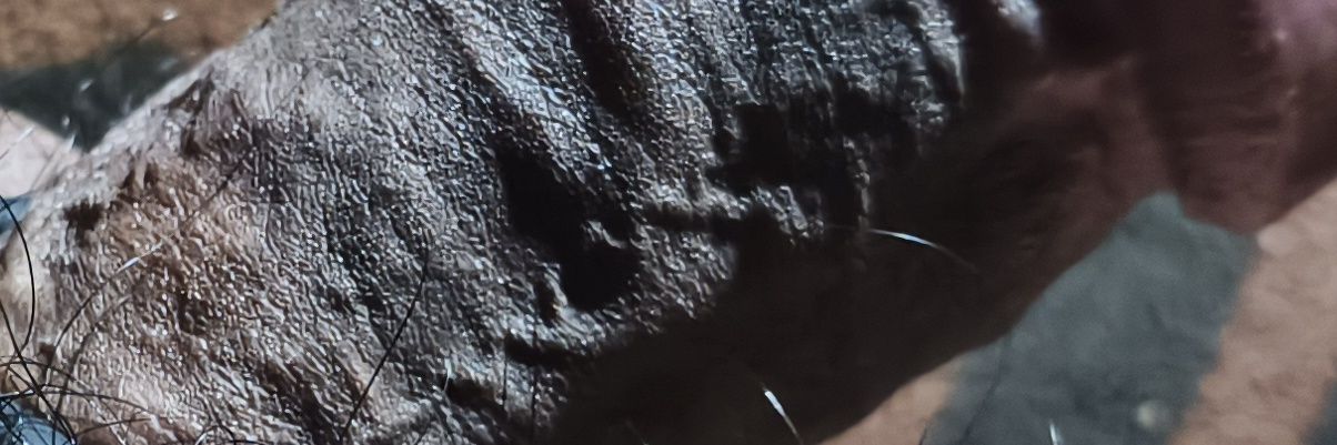 Mr_B_2155's profile banner image