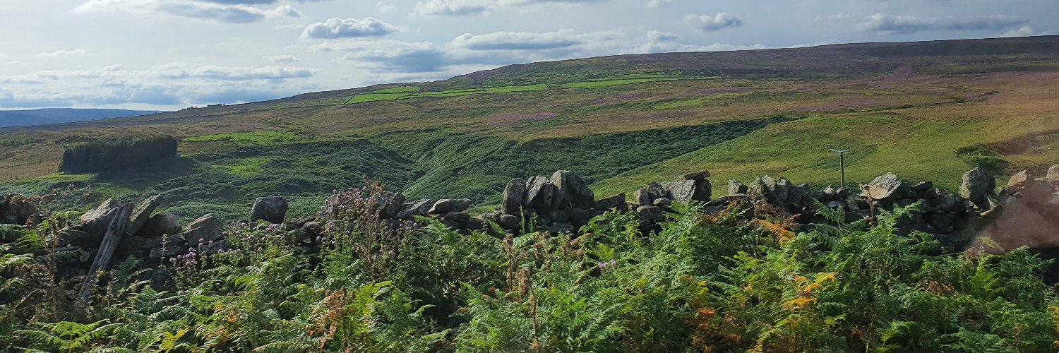 IanWaine's profile banner image