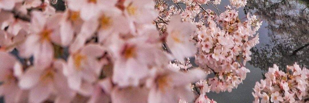 gaby6974's profile banner image