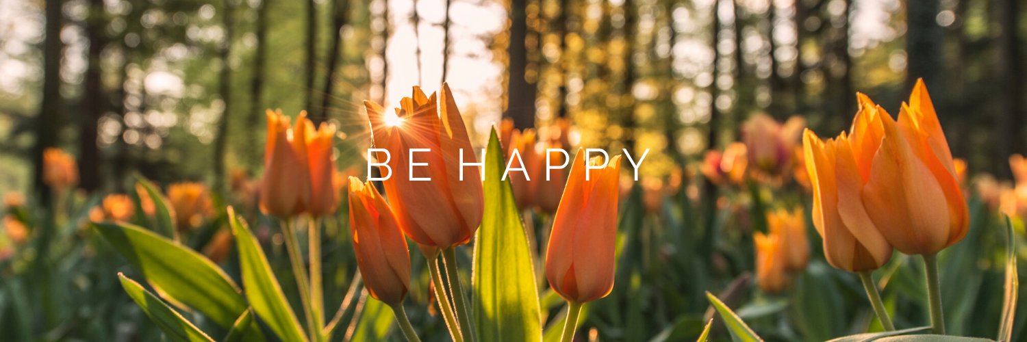 courtney warlick banner