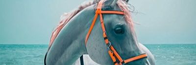 6_t_t's profile banner image