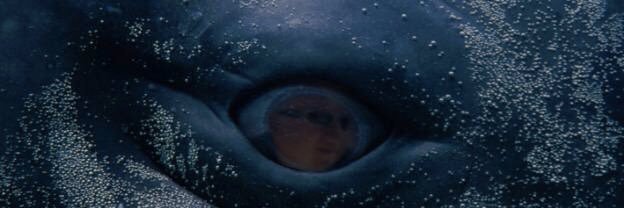 Sailing Whale ***** *** banner