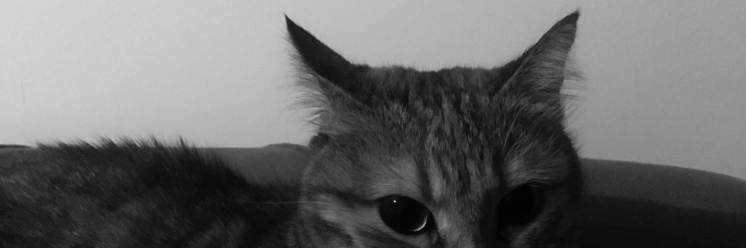 aylinozkiraz's profile banner image