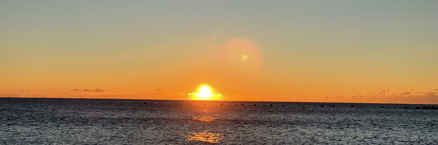 亜利美里🐣 banner