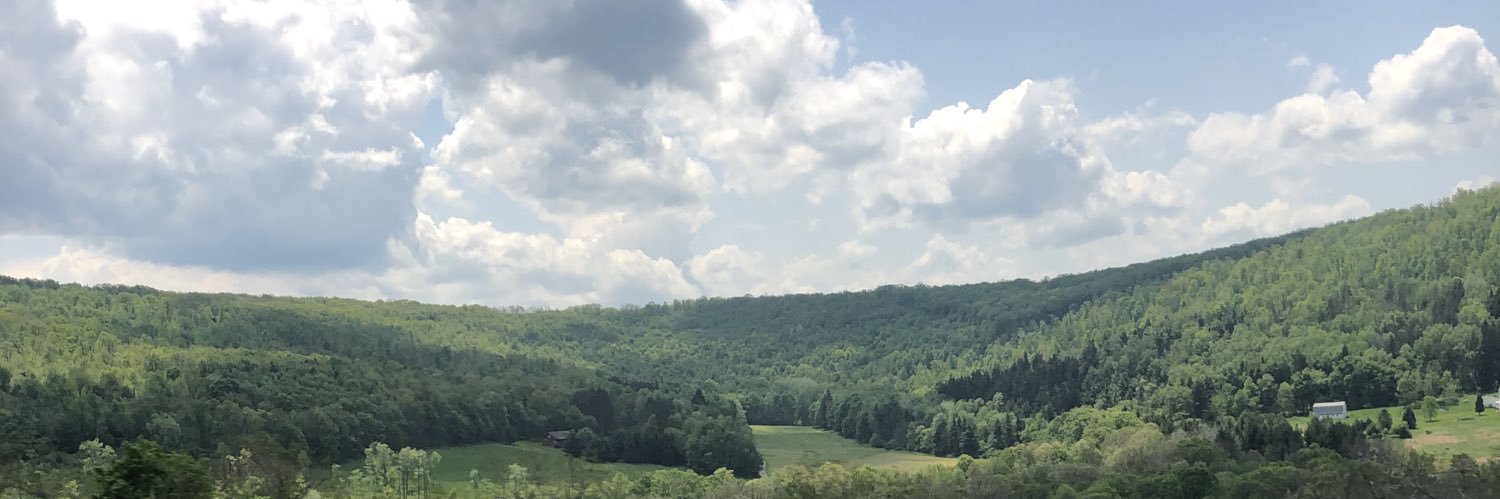 lc_burgs's profile banner image