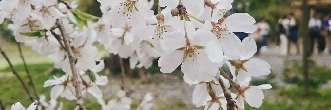miou_rik's profile banner image