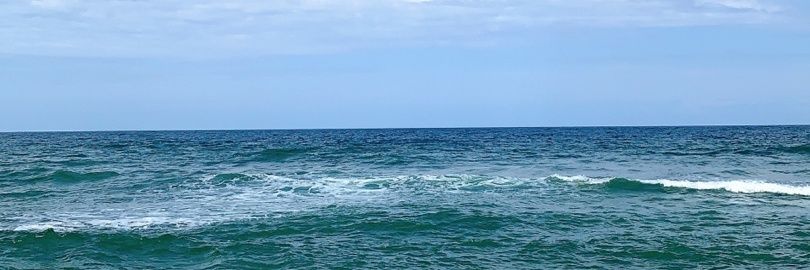 🍐's banner