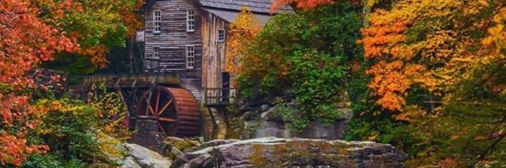 kingofforest82's profile banner image