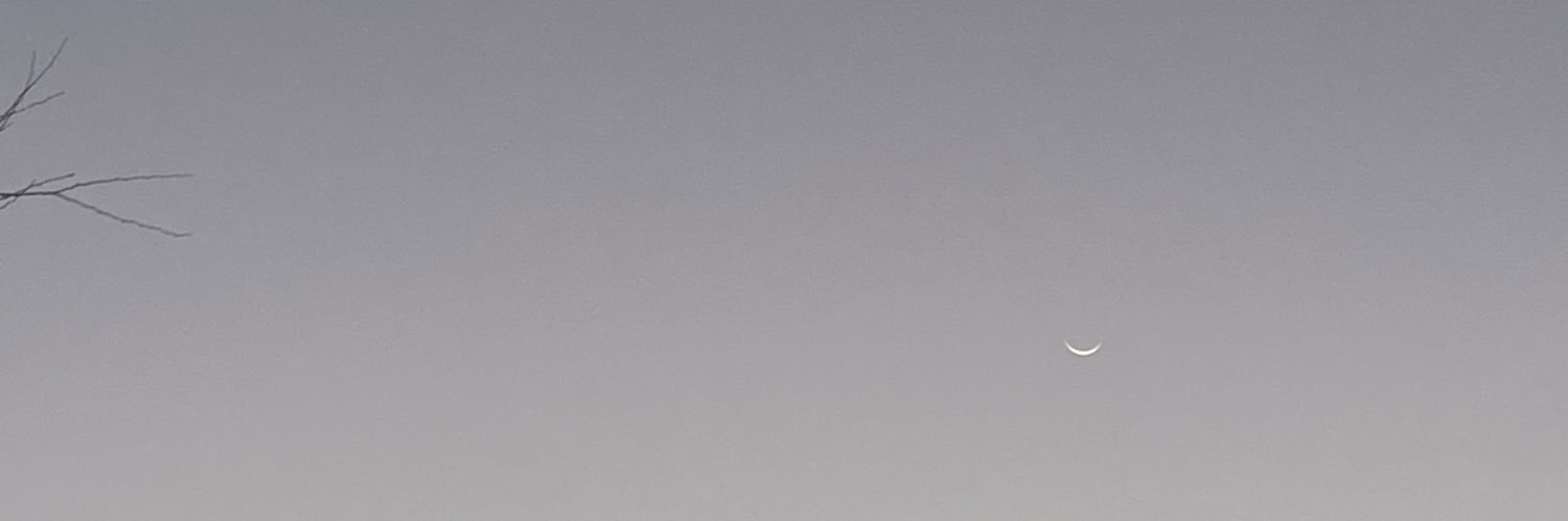 __mjlm's profile banner image