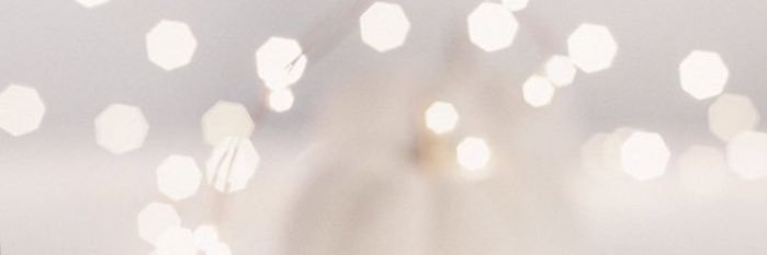 beelem509's profile banner image