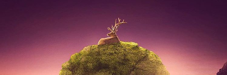 kyng_19's profile banner image