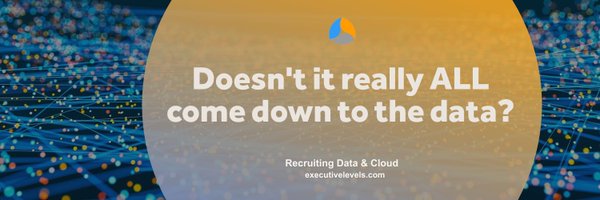 execlvlsearch Profile Banner