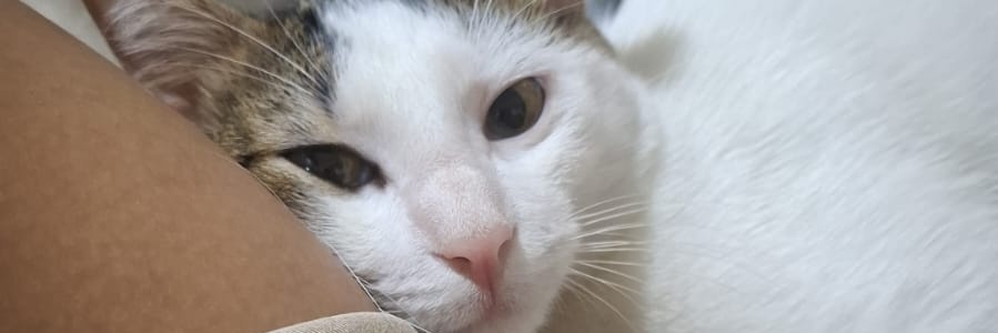 agirlalone_'s profile banner image
