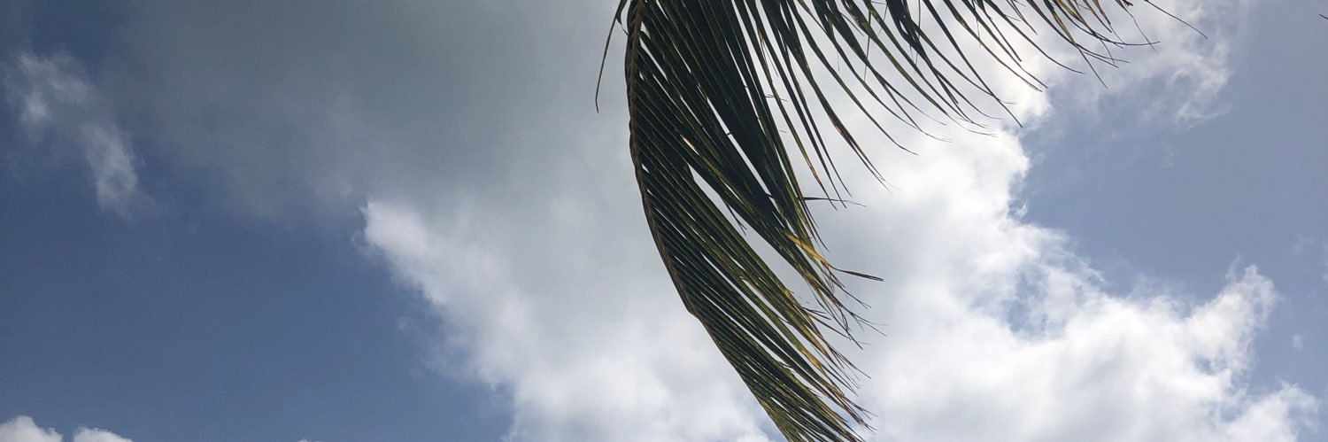 r_queen94's profile banner image