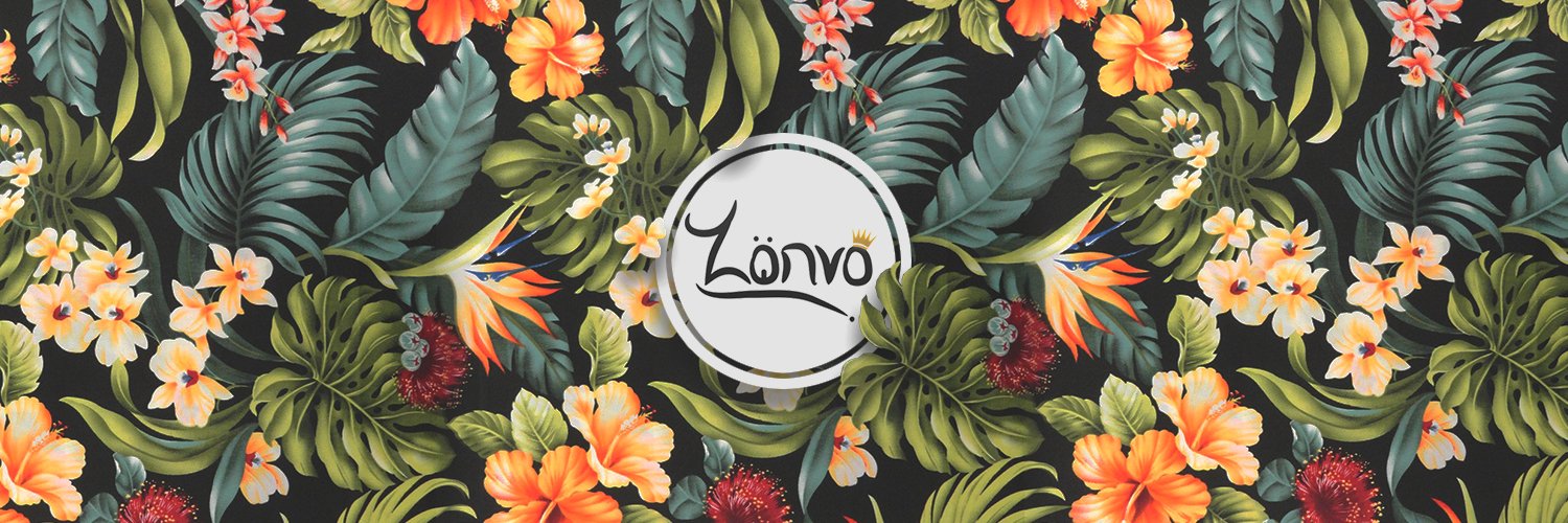 akaZonvo's profile banner image