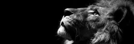 Nazımcan Angın banner