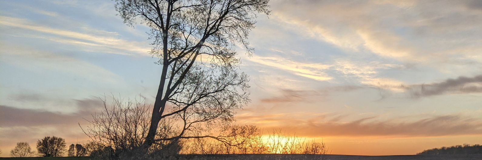 KCMom3's profile banner image