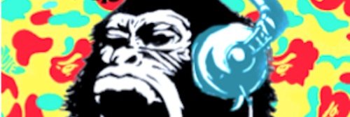 B_moolah's profile banner image