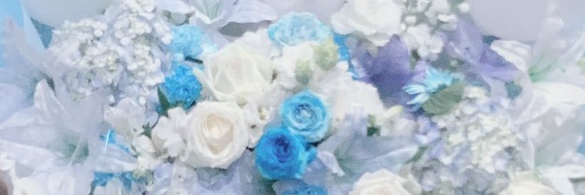 詩音 banner
