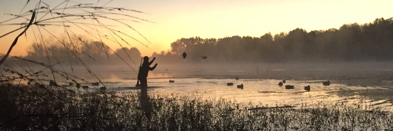 BennettOliver15's profile banner image