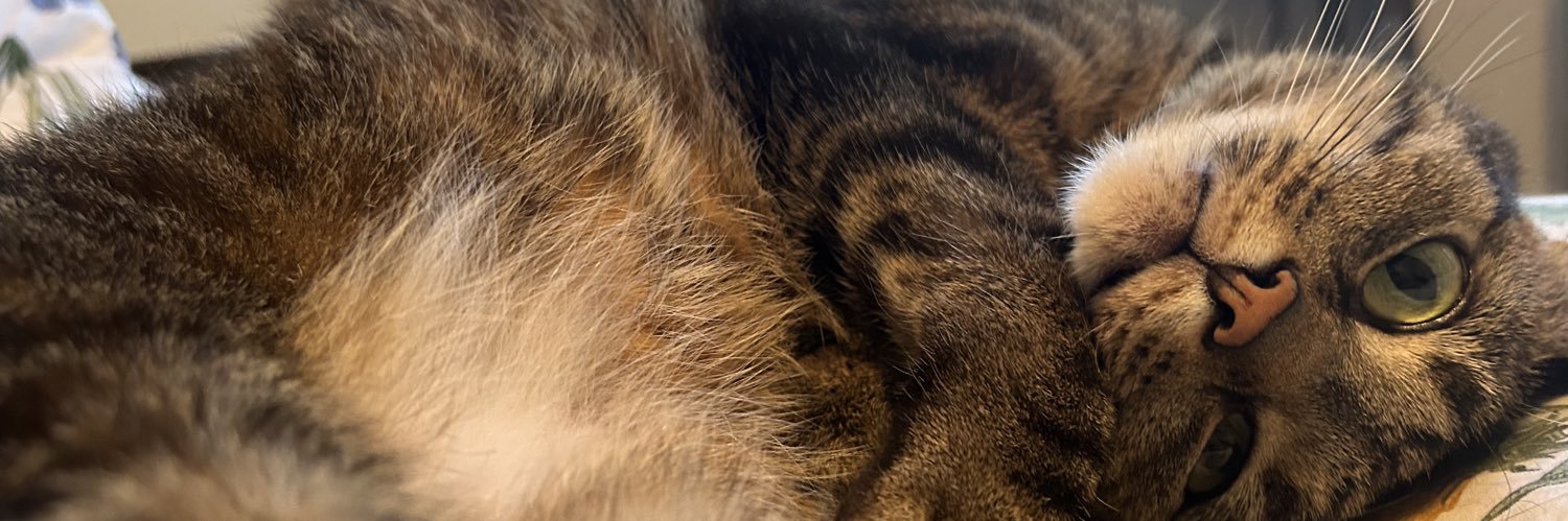 _Jellz_'s profile banner image