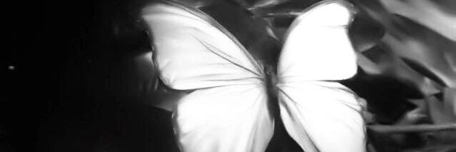 эня ᥫ᭡ 🎨 banner