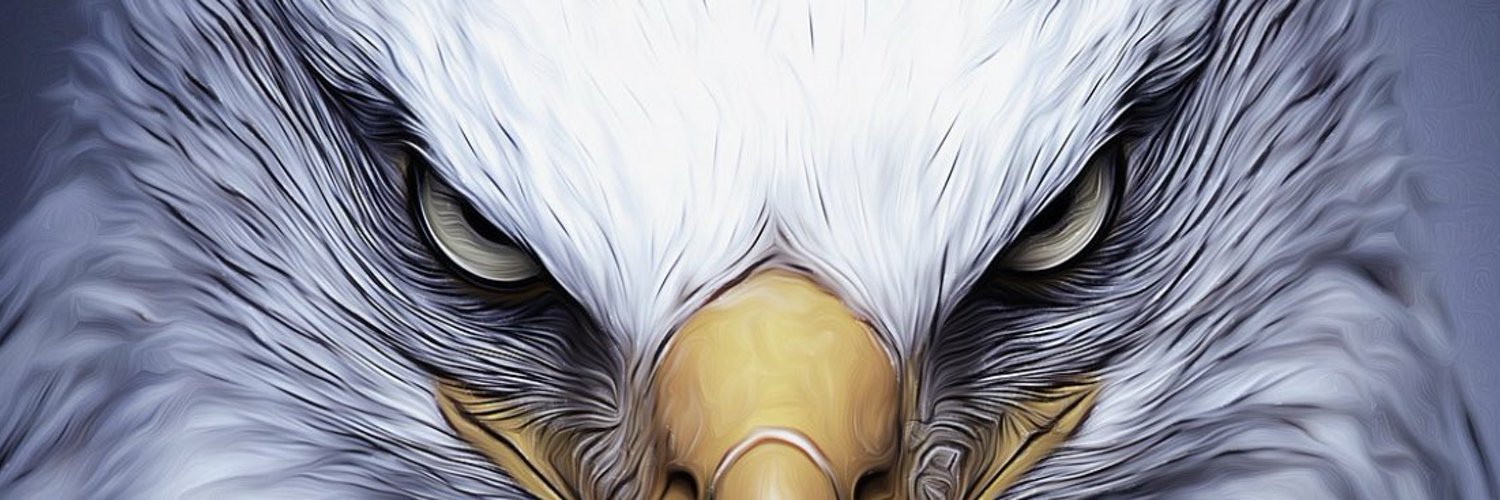 ____eXc____'s profile banner image