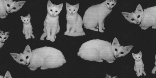 klistals's profile banner image