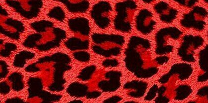 Kia_011's profile banner image