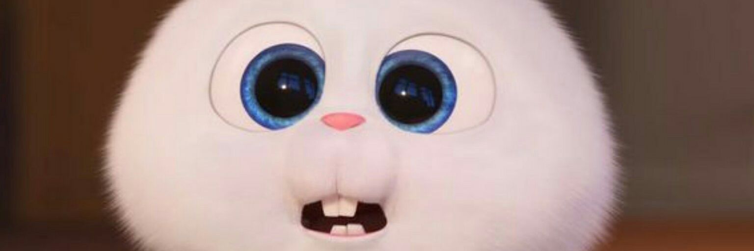 desakayudwi's profile banner image