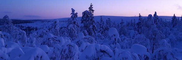 ViipiK Profile Banner