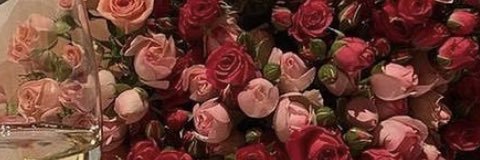 Larita banner