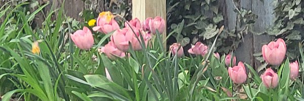 BreconIReviews Profile Banner