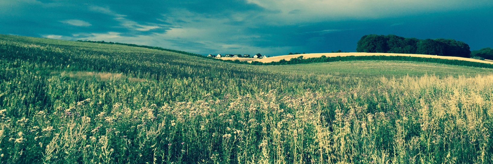 Mike Hatfield banner