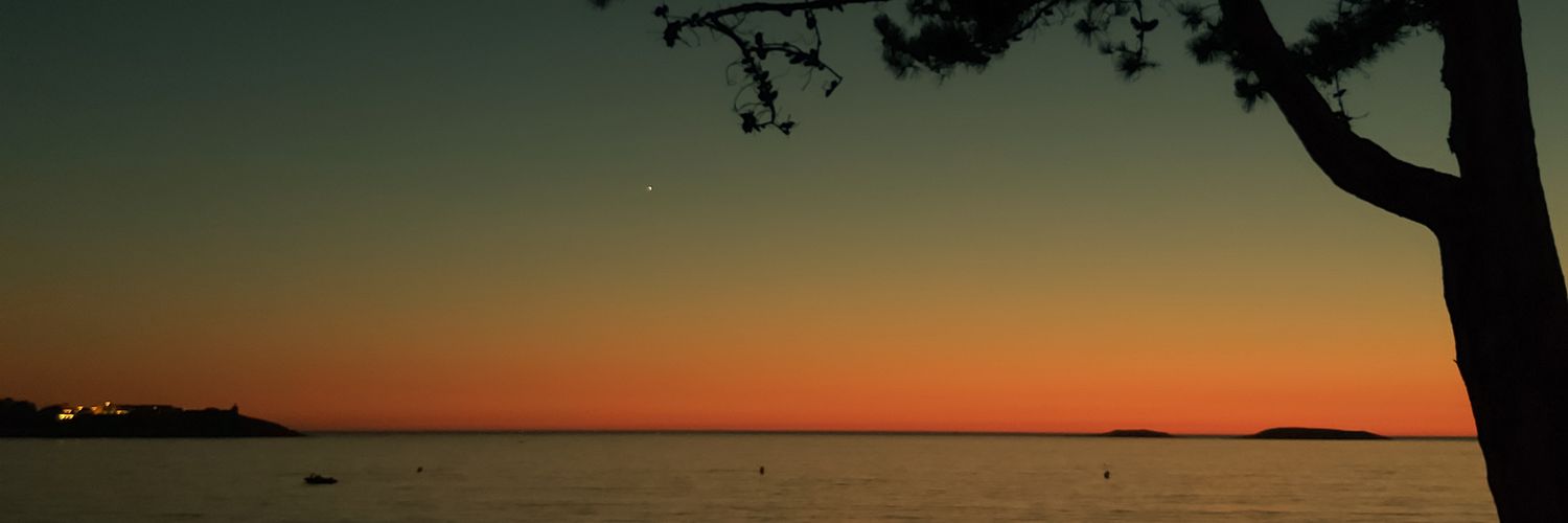 Nadia__Sanchez's profile banner image