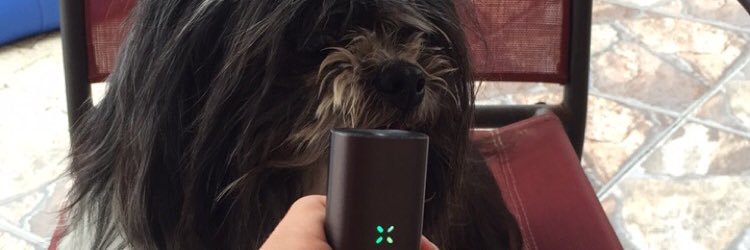 NOT_LUISS's profile banner image