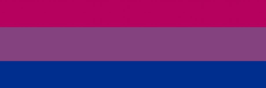 sexi sewi banner