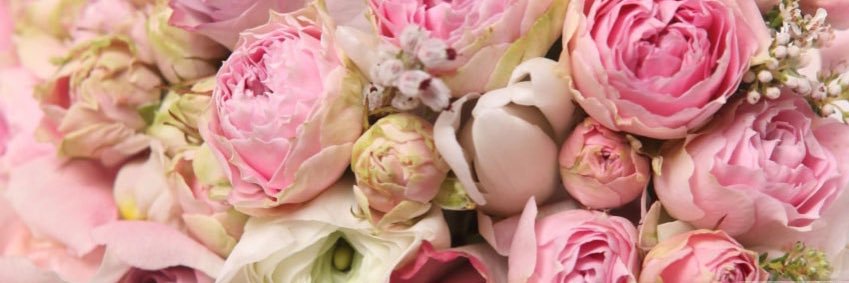 Penelope Hairston banner