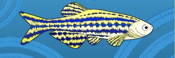 SaeedSHSABET Profile Banner