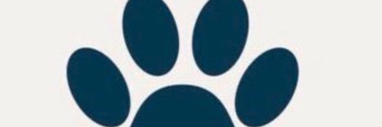 mooonwhitezoo's profile banner image