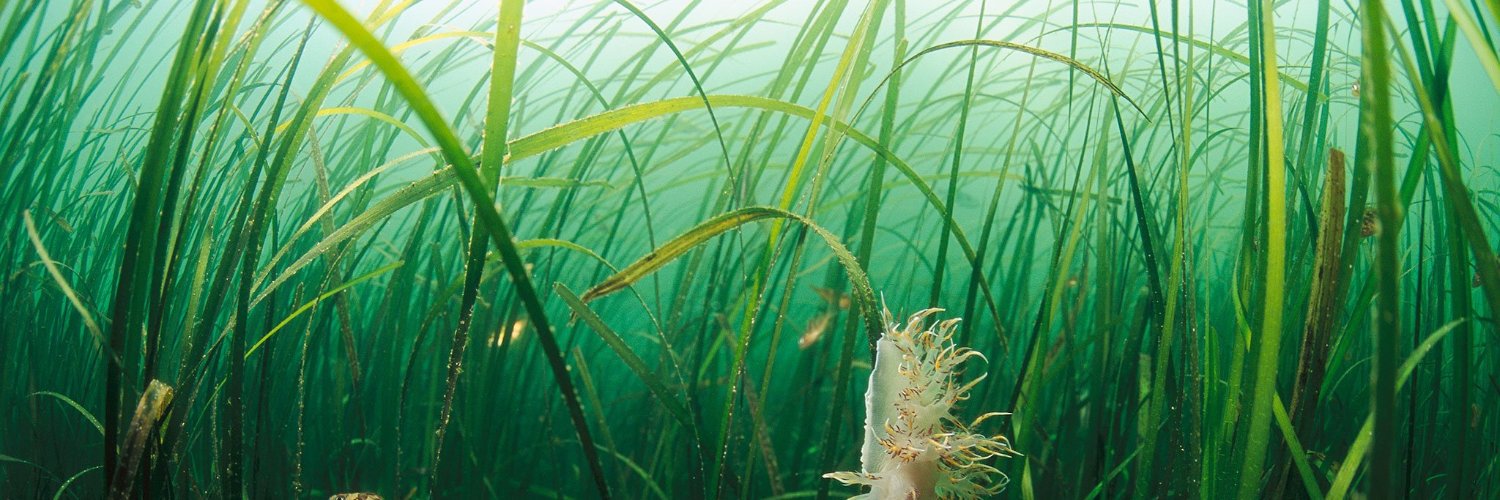 Richard Unsworth 🏴󠁧󠁢󠁷󠁬󠁳󠁿 banner