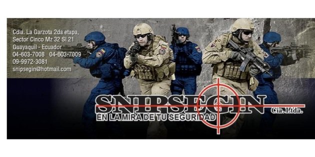 Snipsegin's profile banner image