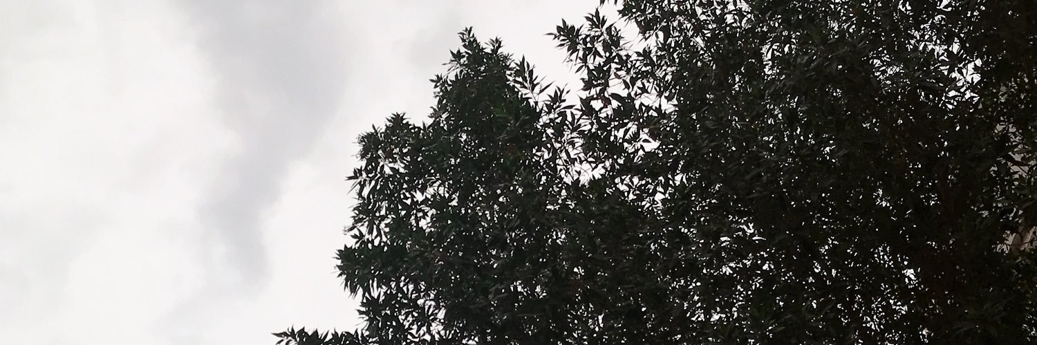 Fz702x's profile banner image