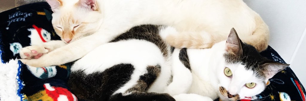 uinon923's profile banner image