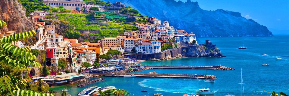 Justina Perro banner