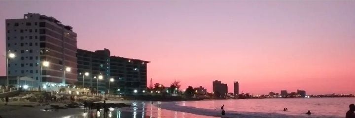 Daniela Castro banner