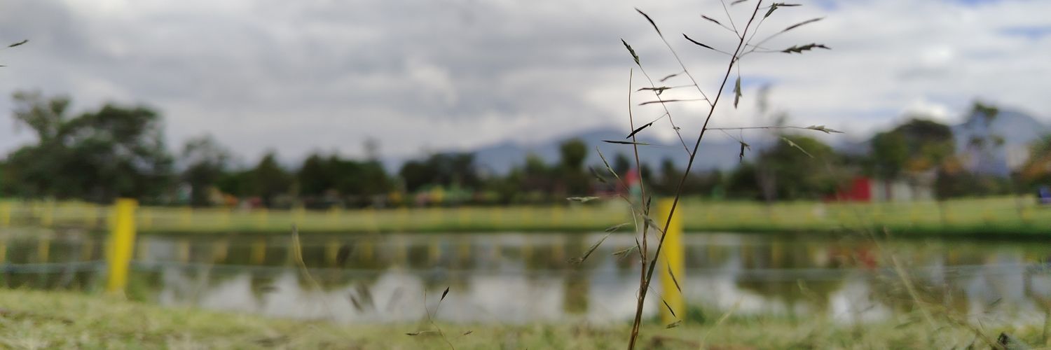 ANarvaezB's profile banner image